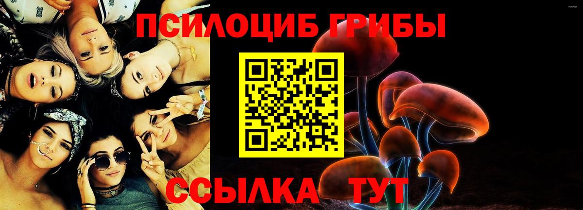 Галлюциногенные грибы Cubensis Рязань